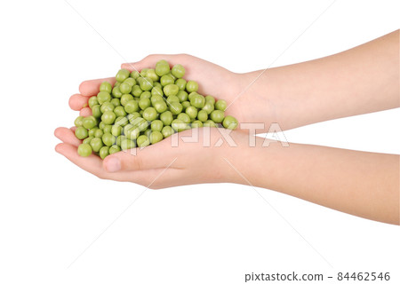 Pods of green peas in the hands of children 84462546