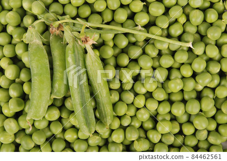 Green Peas background texture vegetable Green Peas background texture vegetable 84462561