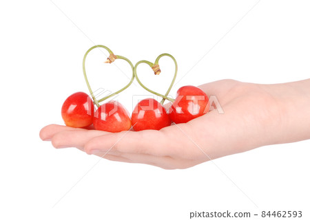 Pair of sweet cherry fruits with heart shaped stem on hand Pair of sweet cherry fruits with heart shaped stem on hand 84462593