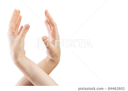 Two beautiful female hands connect to each other on a white background Two beautiful female hands connect to each other on a white background 84462601