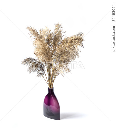 Bouquet of the dry natural reed plants in ceramic vase Bouquet of the dry natural reed plants in ceramic vase 84463064