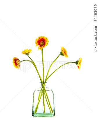 Bouquet of gerbera flowers in glass vase 84463089