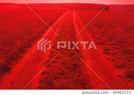 The road in fields stretching into distance and unknown The road in fields stretching into distance and unknown 84463153