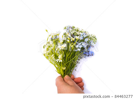 Beautiful bouquet of wildflowers on white background Beautiful bouquet of wildflowers on white background 84463277
