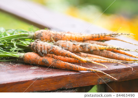 A bunch of fresh carrots outdoors. A bunch of fresh carrots outdoors. 84463490