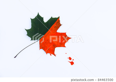 Bright fall single maple leaf decorated with gouache paints on black background. Creative autumn design. 84463500