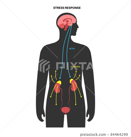 Stress responce system 84464299