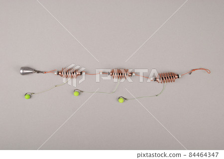 Bait fishing for carp Bait fishing for carp 84464347