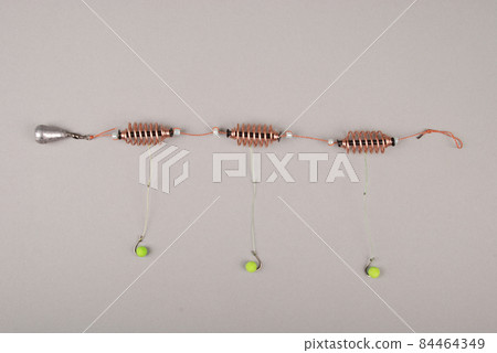 Bait fishing for carp 84464349