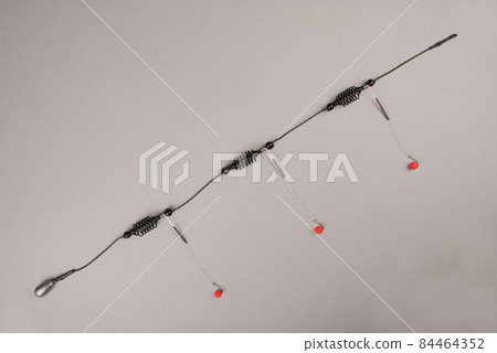 Bait fishing for carp 84464352