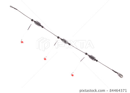 Bait fishing for carp 84464371