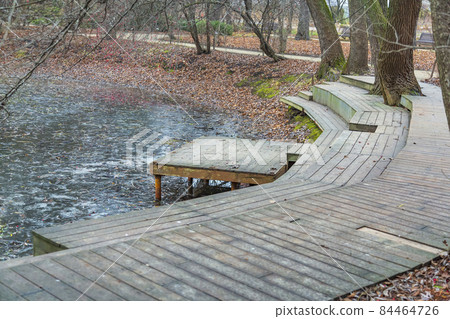 Empty wooden boat dock by an overgrown pond 84464726