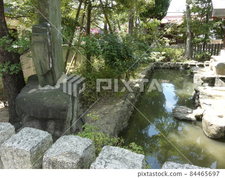 水神社的池塘，在水面上反射晴朗的天空[石切神社] 84465697