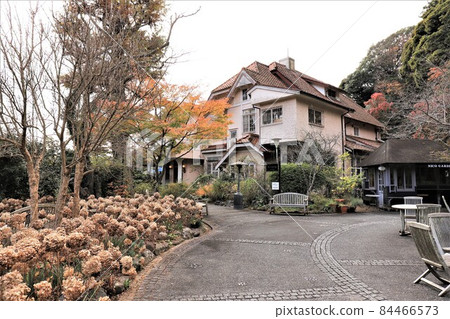 深秋的石爐花園露台（舊犬塚屋） 84466573