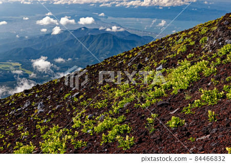 富士山/御殿場山路和足鷹山/沼津的景色 富士山/御殿場山路和足鷹山/沼津的景色 84466832