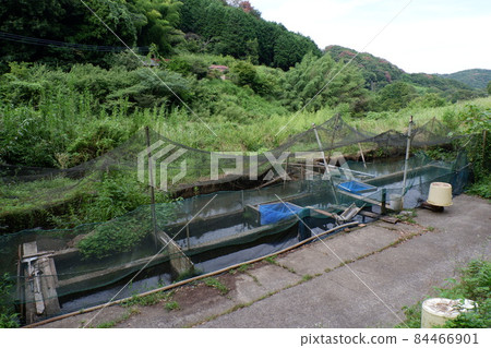 River fish farm River fish farm 84466901