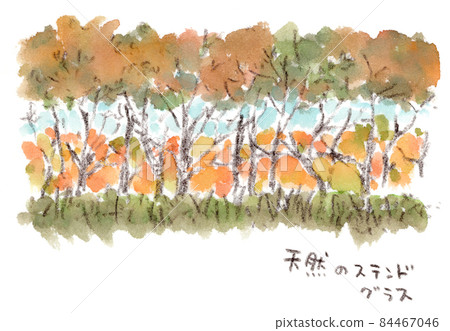 Autumn scenery, autumn leaves seen from the forest road. Hand drawn watercolor illustration Autumn scenery, autumn leaves seen from the forest road. Hand drawn watercolor illustration 84467046