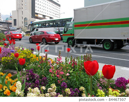 路邊的春天花壇 84467307