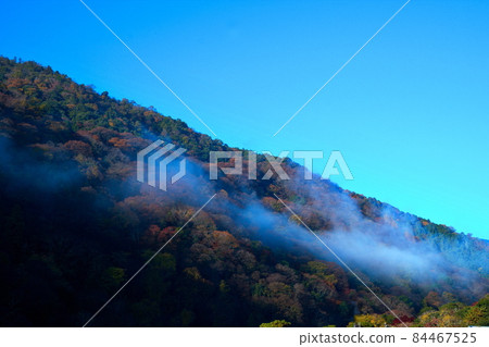 Autumn morning fog on the Oigawa River in Arashiyama, Kyoto Autumn morning fog on the Oigawa River in Arashiyama, Kyoto 84467525