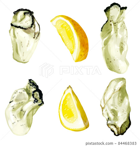 Hand-painted watercolor raw oyster and lemon illustration set 84468383