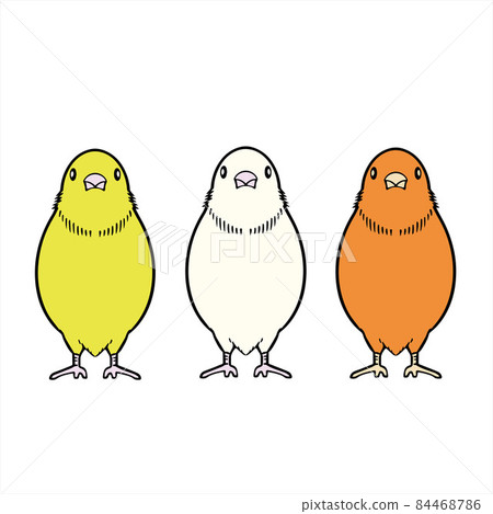 Canary 84468786