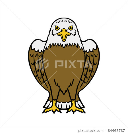 Eagle Bald Eagle Eagle Bald Eagle 84468787