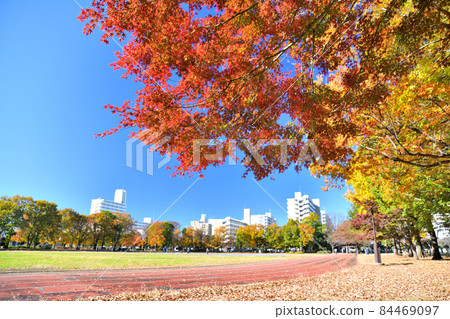 Tokyo Metropolitan Higashiyamato South Park / Athletic Square (Higashiyamato City, Tokyo) [2021.11] 84469097