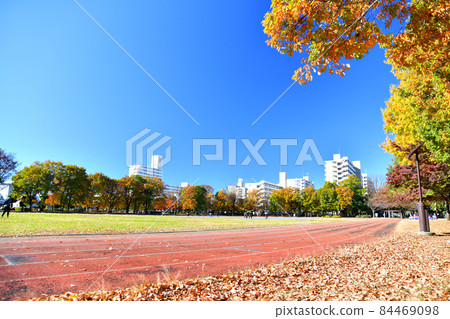 Tokyo Metropolitan Higashiyamato South Park / Athletic Square (Higashiyamato City, Tokyo) [2021.11] 84469098