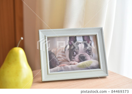 照片架 照片架 84469373