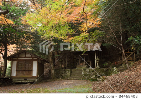 卡特神社的秋葉 84469408
