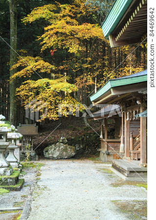 Ebumi 神社的秋葉 84469642