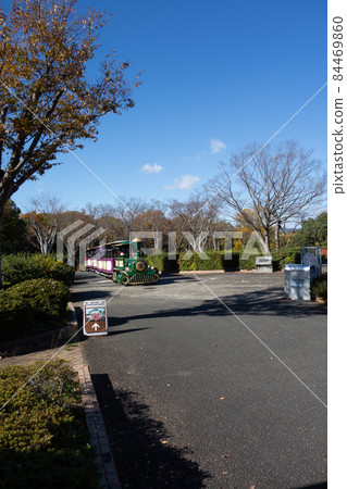 秋天，大阪世博公園的風景 84469860