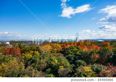 View of Osaka Expo Park in autumn from the observatory 84469866