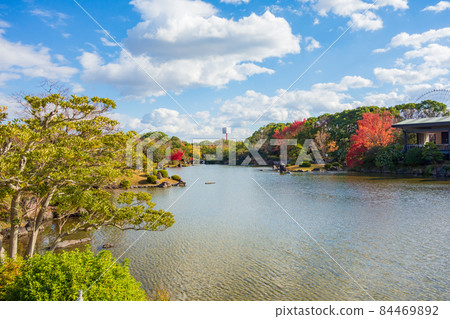 秋季大阪世博公園的日本庭園 84469892