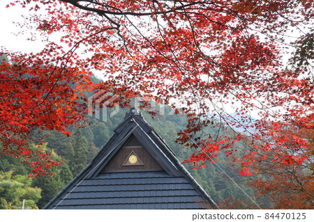 Autumn leaves on the approach to Jakkoin Temple 84470125