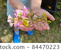 女孩手上的花 84470223