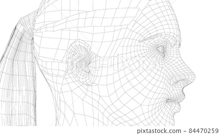 Wireframe portrait of a young beautiful girl Wireframe portrait of a young beautiful girl 84470259
