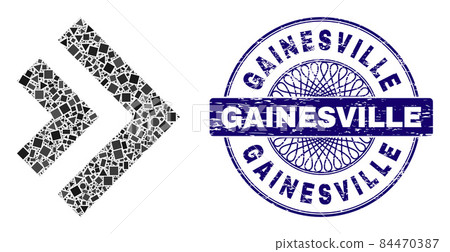 Distress Gainesville Badge and Geometric Shift Right Mosaic Distress Gainesville Badge and Geometric Shift Right Mosaic 84470387