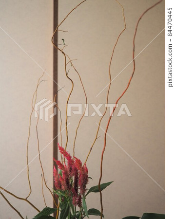 花道工作 花道工作 84470445