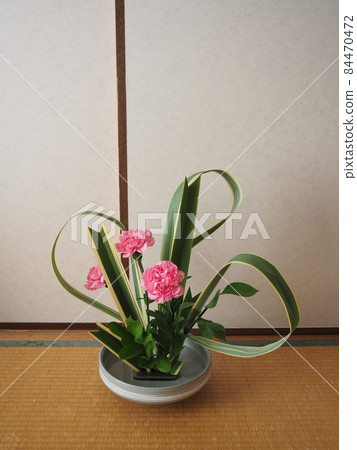 花道工作 84470472