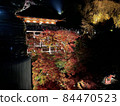 清水寺紅葉 84470523