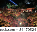 清水寺紅葉 84470524