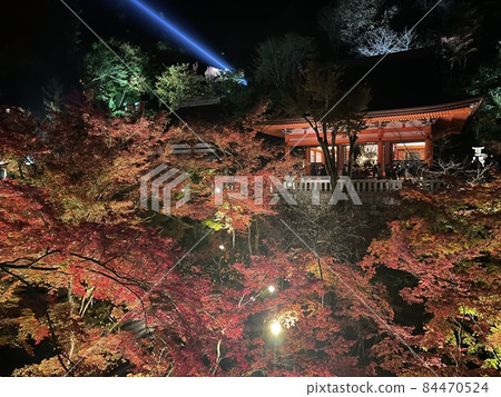 清水寺紅葉 84470524