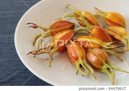 Gardenia fruit 84470637