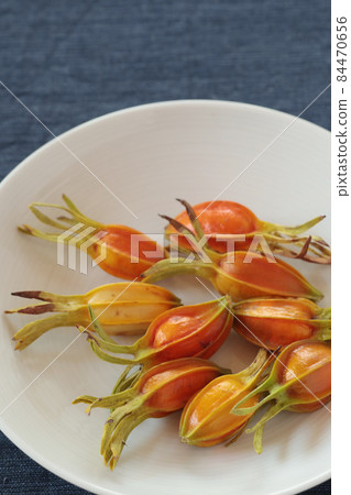 梔子果實 84470656