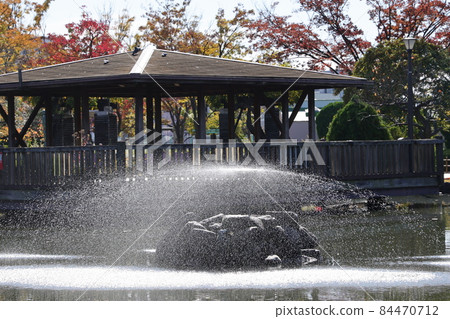 Arakawa Natural Park, Arakawa-ku, Tokyo Swan Pond Fountain 84470712