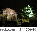 Castles and cherry blossoms 84470940