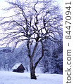 Original landscape of Japan 84470941