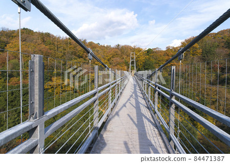 Tongue quake "love" suspension bridge (demon's tongue tremor) November 84471387