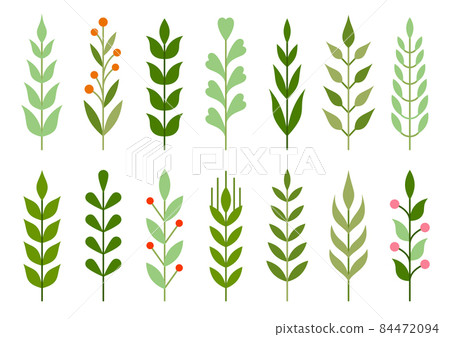 Leaf and branch green flat set. Deciduous branch with berries. Wild plant summer object. Free nature element vintage sign. Simple design wedding pattern postcard invitation. Sprout isolated on white 84472094